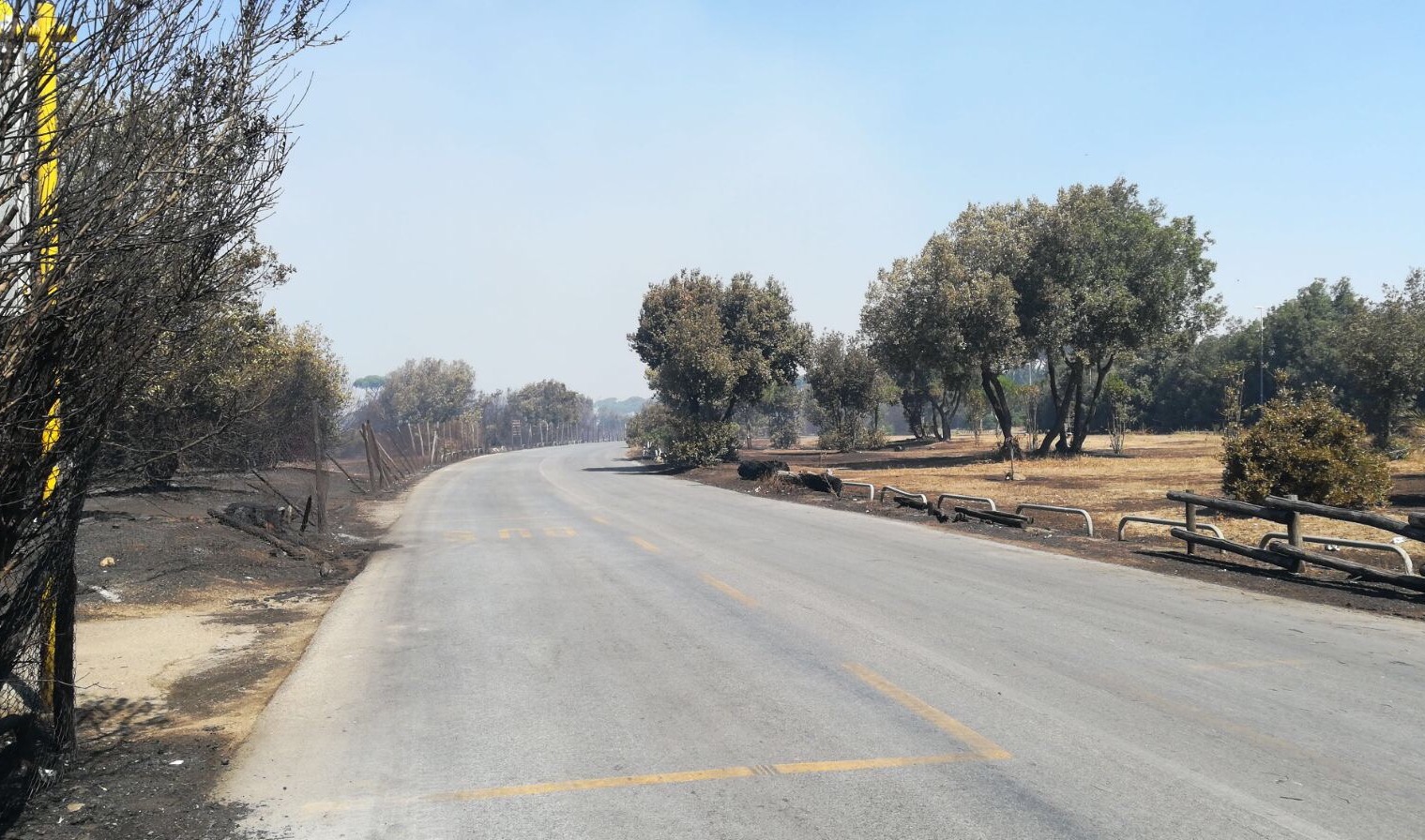 Le prime immagini del dopo incendio che ha devastato la pineta di Castelfusano a Ostia